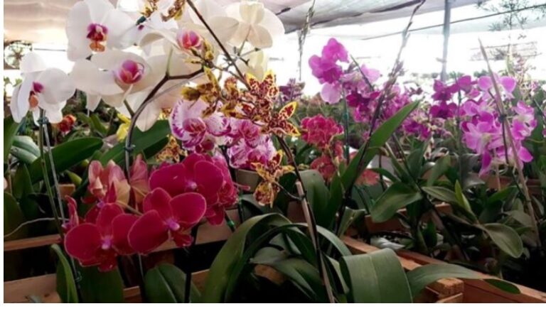 Turismo: Destacan la posibilidad de una mesa de debate para definir estrategias imagen-50