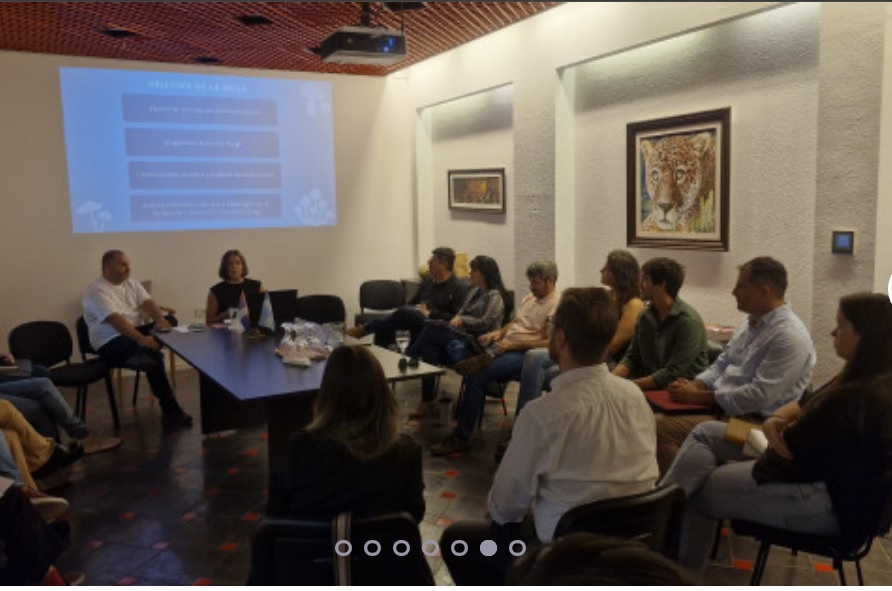 Misiones busca avanzar en la formación sobre recolección y cultivo de Hongos Comestibles imagen-2
