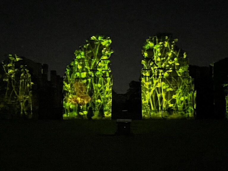 Vuelve el espectáculo de Imagen y Sonido en San Ignacio Miní imagen-48