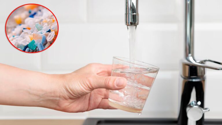 Agua contaminada con microplásticos: un método respaldado por la ciencia los elimina en un 80% imagen-41
