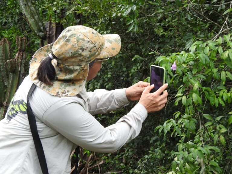 Invitan a una jornada educativa para fortalecer la conservación y el turismo sustentable imagen-48