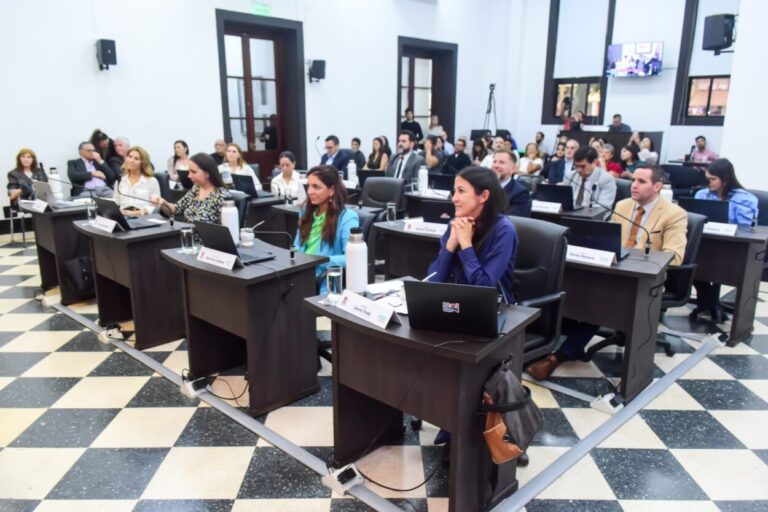 Alivio fiscal: concejales posadeños aprueban la derogación de tasas municipales para el expendio de bebidas imagen-15