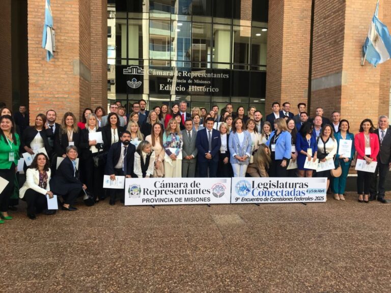 A través de Legislaturas Conectadas las Provincias analizan y replican leyes que consideran un avance para el bienestar general imagen-14