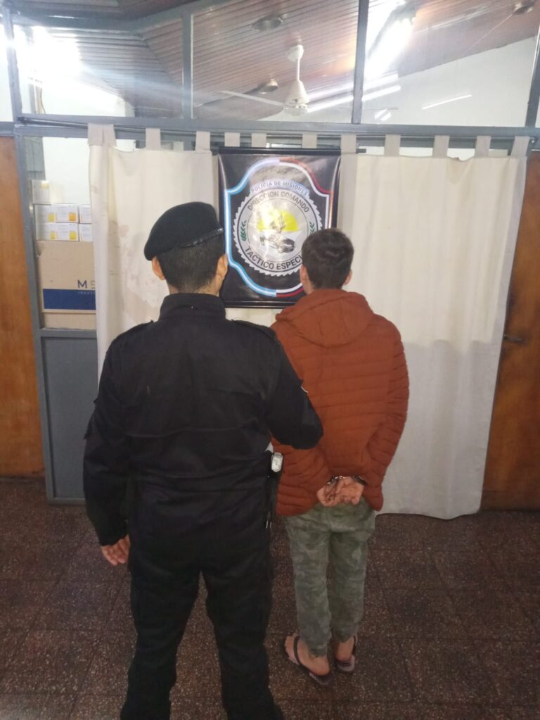 Posadas vigilada: Quedó detenido tras forzar las puertas de negocios y autos imagen-45