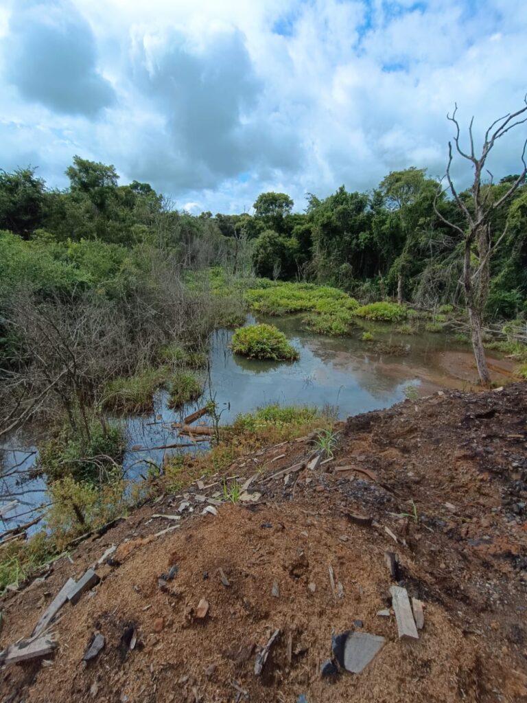 Investigan la contaminación de un arroyo por parte de un aserradero en Piñalito Sur imagen-37