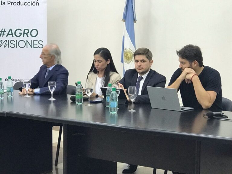 Unico en el mundo: lanzan el seguro del yaguareté articulando ambientalismo y producción imagen-16