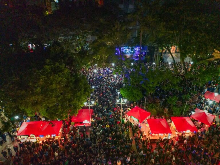 El Reventón 2025, con récord de ventas y asistencia de público, movilizó a más de 30 mil personas en el centro posadeño imagen-36