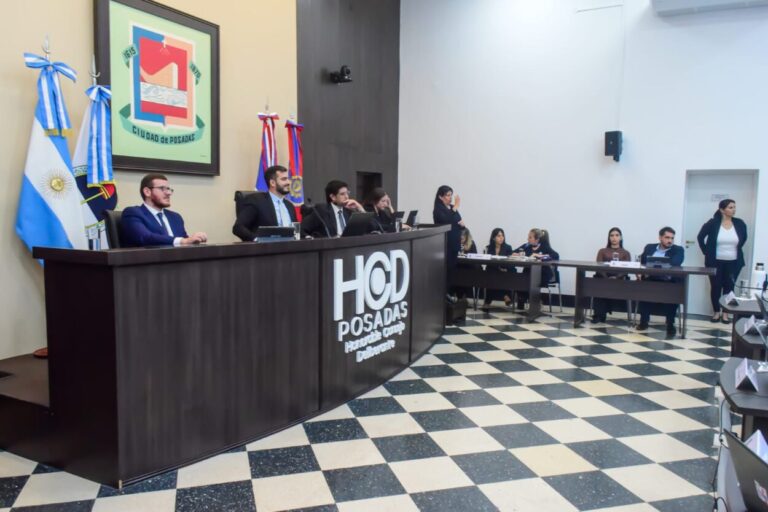 Salud, inclusión y accesibilidad en la sexta sesión ordinaria del Concejo posadeño imagen-27