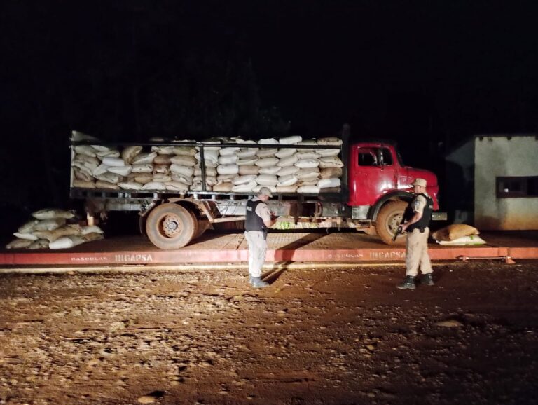 Incautan más de diez toneladas de soja durante un operativo prefecturiano en la zona de El Soberbio imagen-18