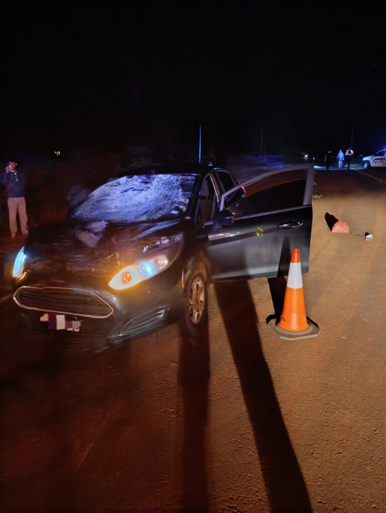 Murió un peatón tras ser embestido por un auto en la ruta 8 imagen-11