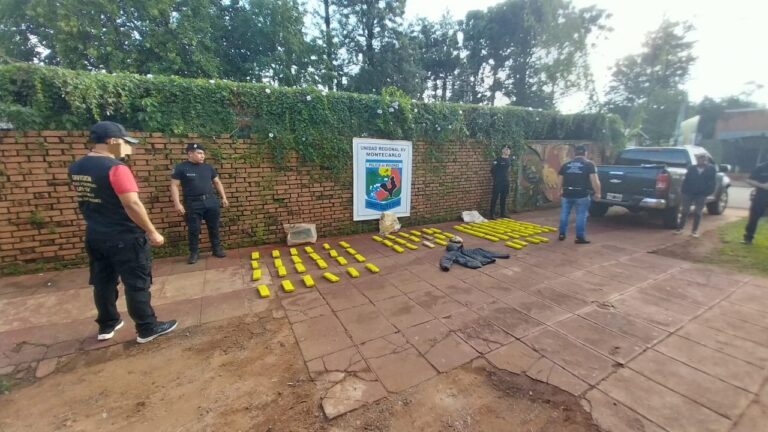 Agentes antinarcóticos incautaron 77 panes de marihuana ocultos en un pinar imagen-12