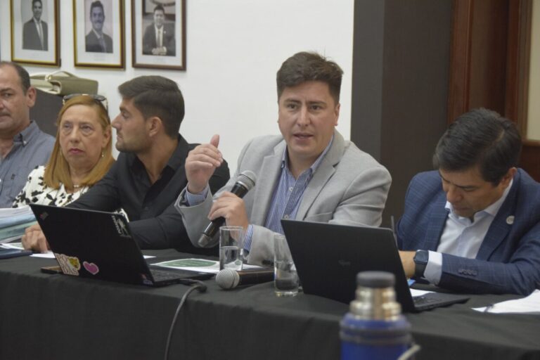 Guastavino fundamentó el Balance 2024: “Cuidamos cada peso del posadeño” imagen-43