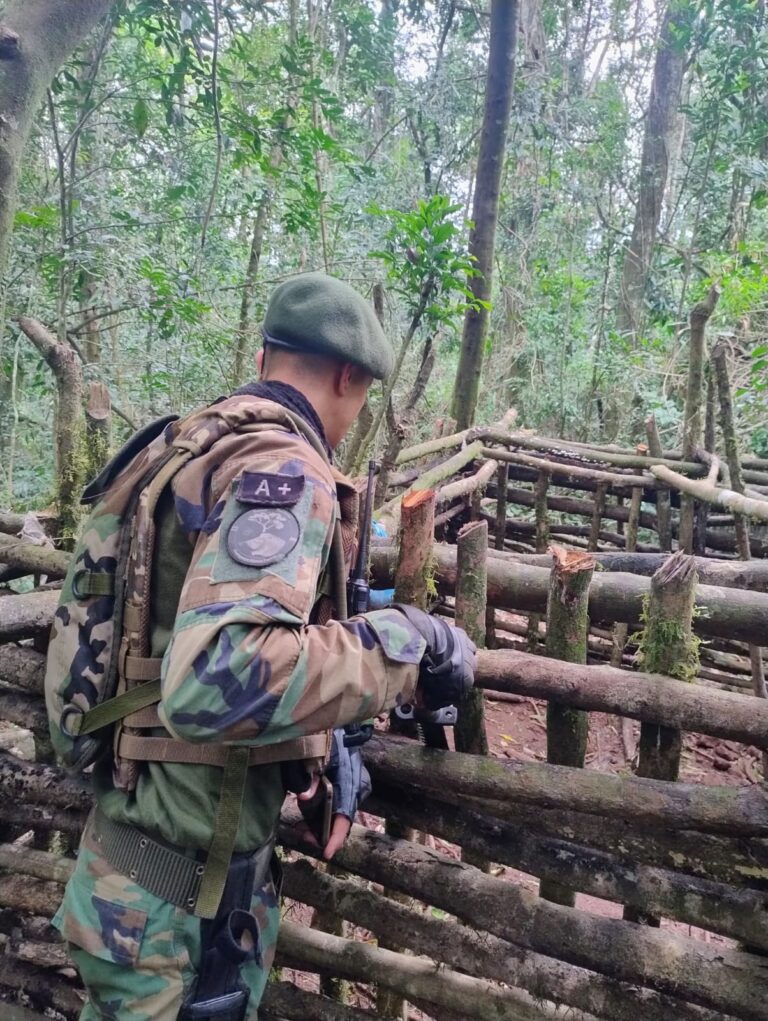 Guardaparques destruyen trampas armadas por cazadores para atrapar pecaríes en el Parque Foerster imagen-45
