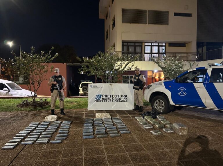 Secuestran marihuana estimada en más de $147 millones imagen-9