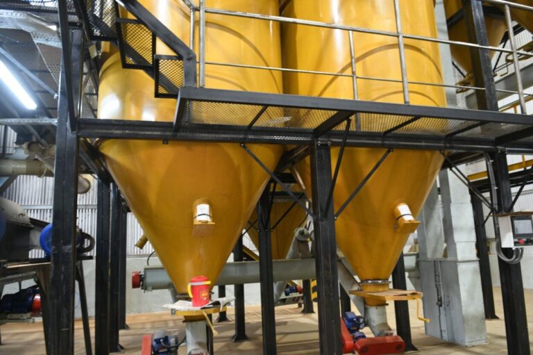 Andresito se convierte en el principal polo yerbatero de la Argentina con el mayor molino del país imagen-22