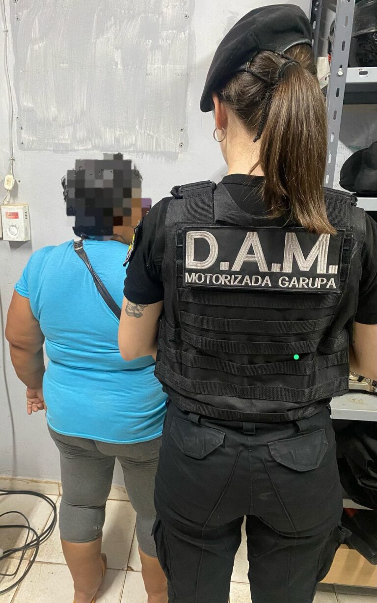 "Abuladrona" fue detenida al ser filmada sustrayendo un celular imagen-12