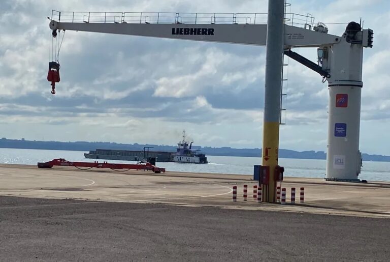 Posadas al mundo: delegación alemana visita la tierra colorada para impulsar negocios con empresas locales imagen-5