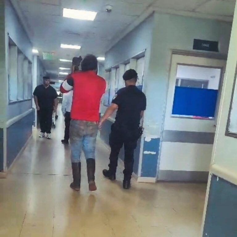 Un cortador de pasto y un motosierrista fueron asistidos por la Policía tras lesiones laborales imagen-43