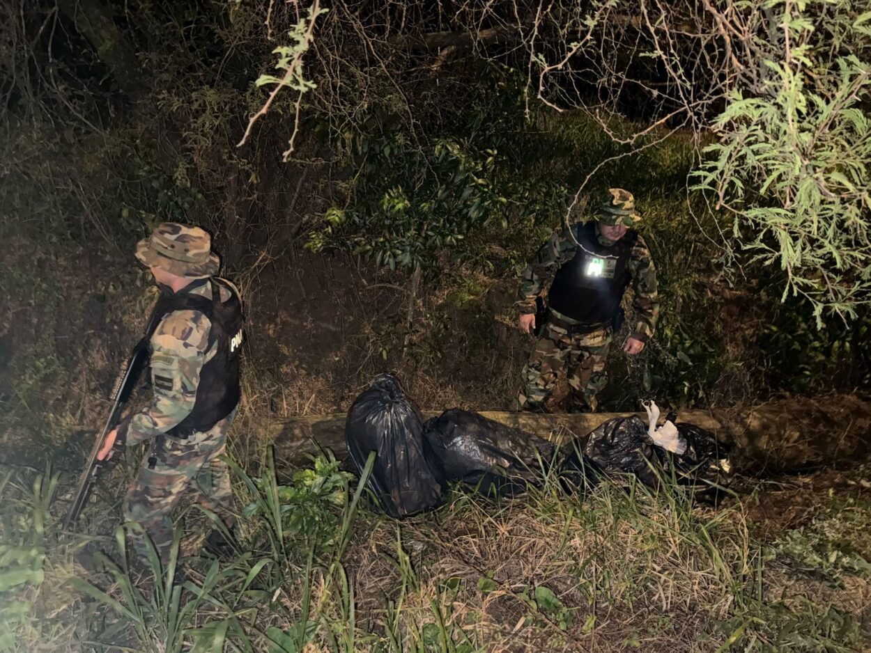 Incautan más de 41 kilos de cogollos de marihuana cuyo valor supera los $130 millones imagen-4
