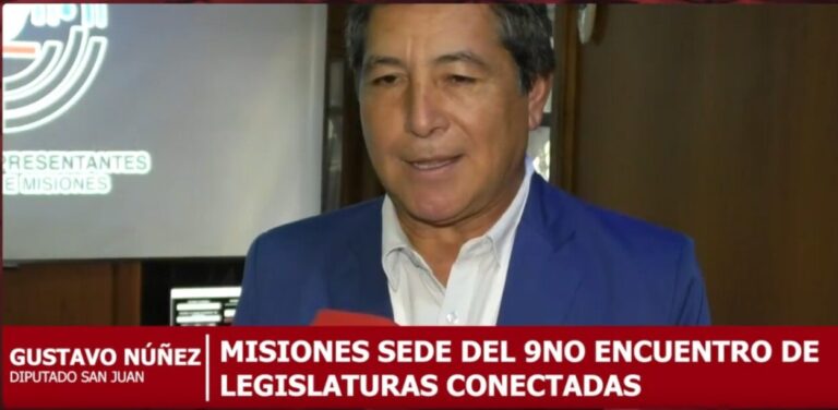 Legislaturas Conectadas estrenó en Misiones Comisión de Salud: "La idea es intercambiar", dijeron participantes imagen-3