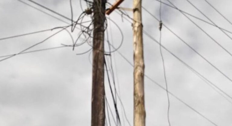 Detectan que empresario estaba «enganchado» a líneas eléctricas en exclusiva zona de Posadas Detectan que empresario estaba "enganchado" a líneas eléctricas en exclusiva zona de Posadas imagen-43