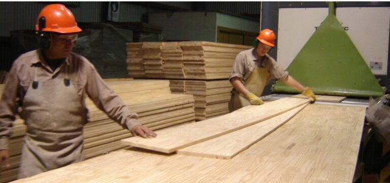 Las exportaciones de madera aumentaron en volumen un 41% en los primeros 2 meses del 2025 imagen-15