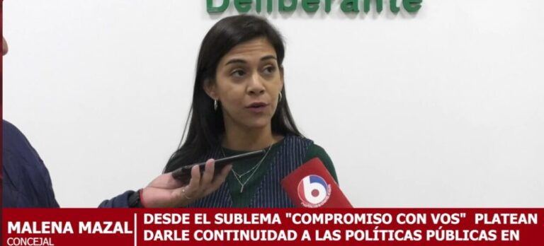 Elecciones 8J: "Además de cuestiones estructurales para el barrio, los vecinos piden mayores servicios vinculados a lo social", dijo Mazal imagen-40