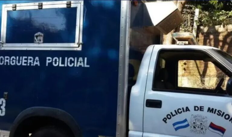 Trágico: un niño murió al caer de la carrocería de la camioneta de su padre imagen-15