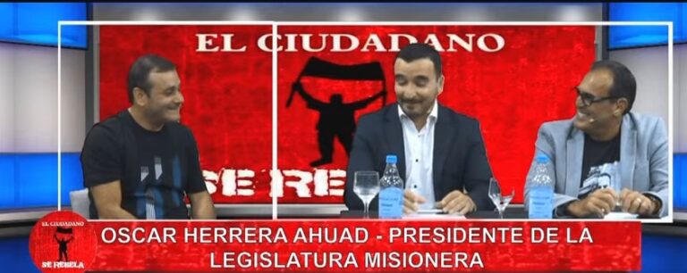 Herrera Ahuad en El Ciudadano Se Rebela: "En la lista de candidatos a la Legislatura se pudo amalgamar las diferentes vertientes que componen la Renovación" imagen-18