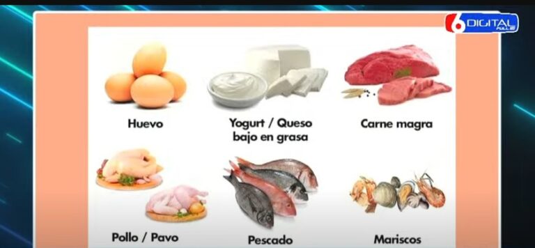 Nutrición: la importancia de consumir proteínas, "los ladrillitos en la estructura de nuestro cuerpo" imagen-18