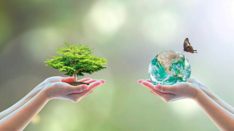 Día Mundial de la Biodiversidad: qué reveló un estudio global sobre el impacto humano en plantas imagen-41