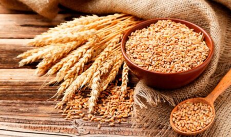 La siembra de trigo en Argentina alcanzaría un récord histórico en la campaña 2025/26 La siembra de trigo en Argentina alcanzaría un récord histórico en la campaña 2025/26 imagen-8