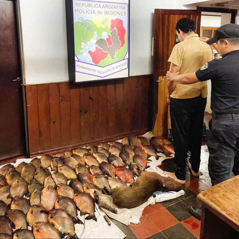 Intentó huir con 67 pacúes y un carpincho robados: fue detenido por la Policía rural en Fachinal imagen-23