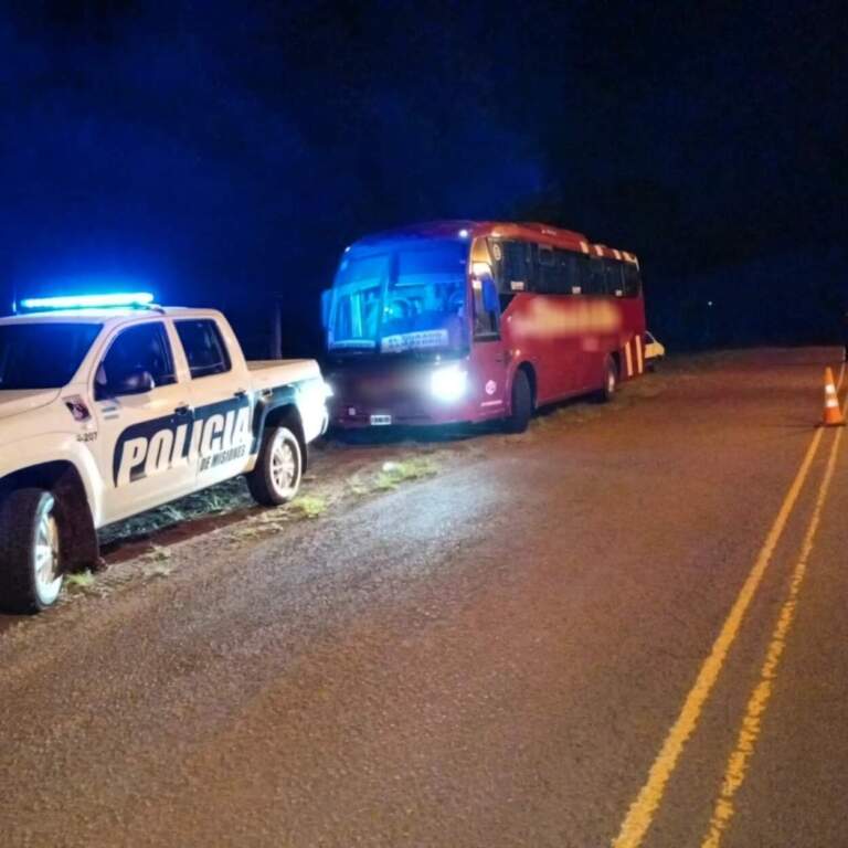 Secuestraron millonaria carga de contrabando en un control policial en San Pedro imagen-31