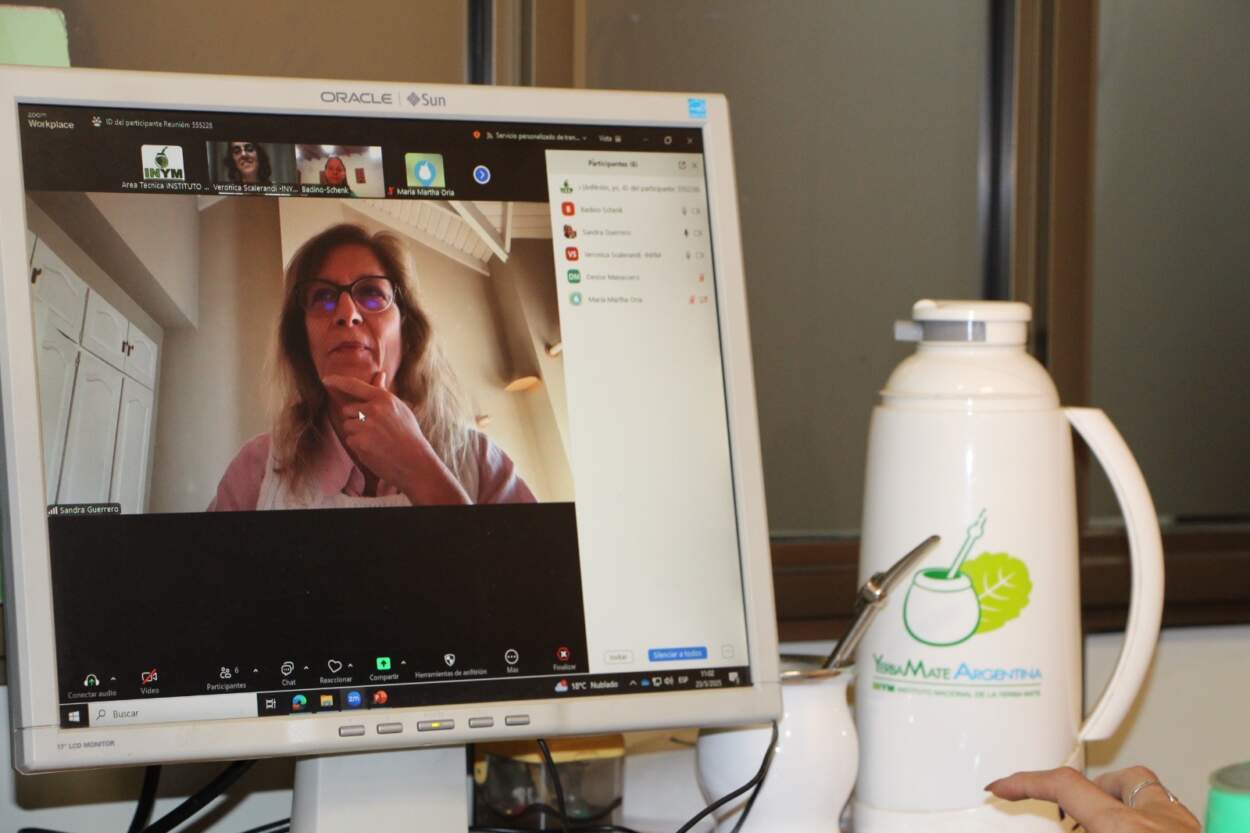 Según investigadora del Conicet, la Yerba Mate argentina encontraría un lugar "muy especial" en el segmento de concepto de "consumidor aventurero" imagen-2