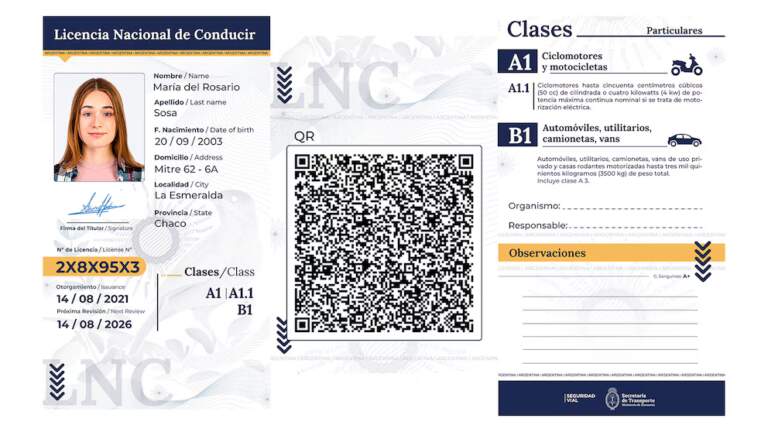 Nueva Licencia de Conducir Nacional: el paso a paso para sacarla y cuánto hay que pagar para hacer el trámite on line imagen-30