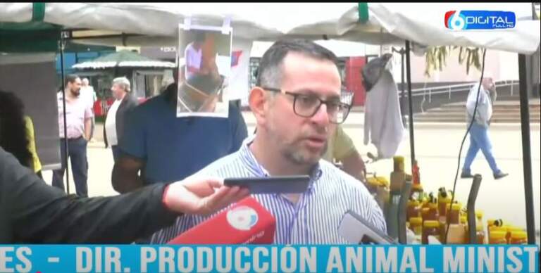 Misiones da un paso adelante en la exportación de miel: Nueva sala de extracción y proyectos de diversificación productiva imagen-12