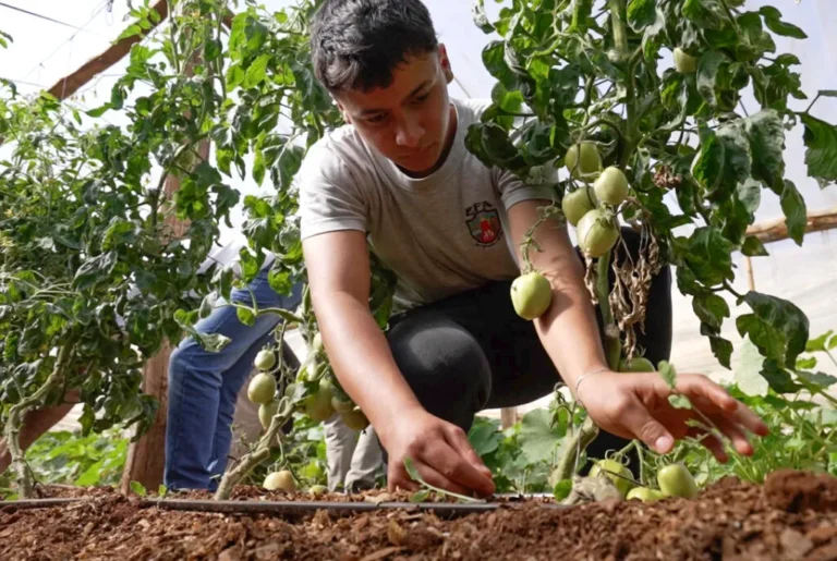 Charla sobre Agricultura Regenerativa y Control de Microorganismos: Innovaciones para un futuro sostenible en el teatrino de la Costanera imagen-6