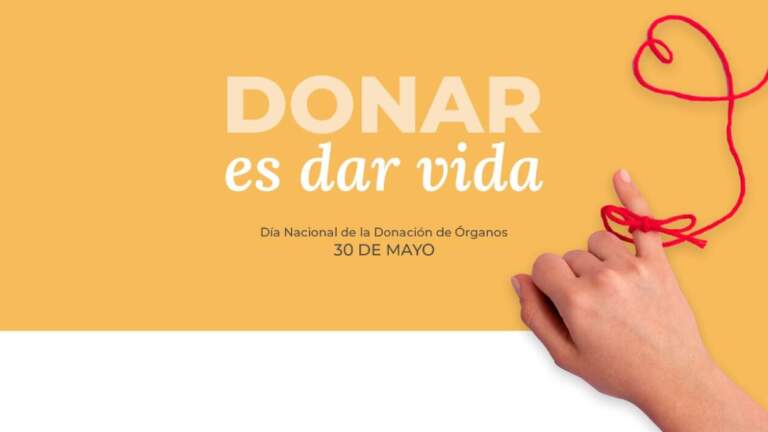 Misiones mantiene indicadores altos en donación de órganos y apunta a sumar nuevas tecnologías imagen-13