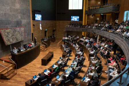 La creación del Municipio de Dos Hermanas y del Programa de Abordaje de la Epilepsia y Síndromes Epilépticos en la agenda legislativa imagen-4