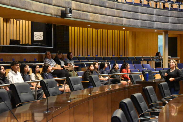 Aprendiendo y divirtiéndose: “Es una buena manera de llegar a los estudiantes” imagen-50