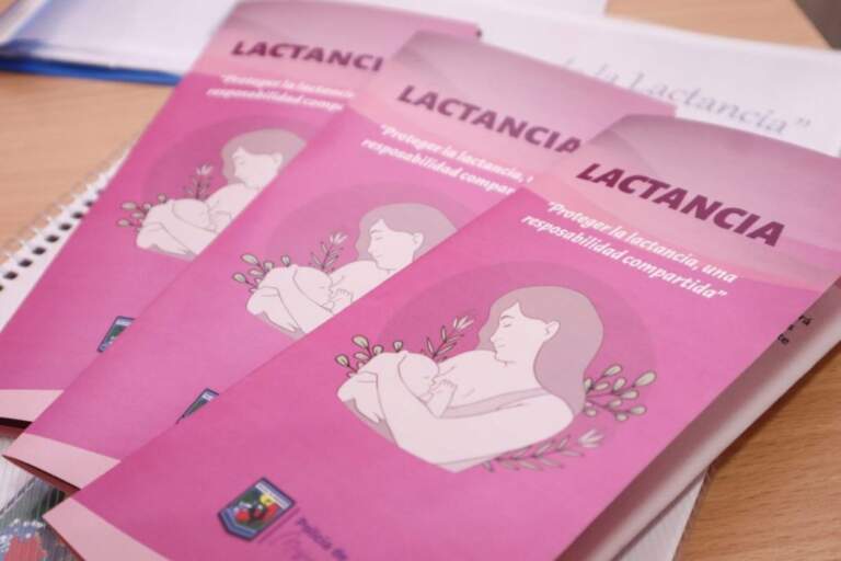 Efectores de todos los niveles comenzaron con las capacitaciones para promoción de lactancia materna imagen-7