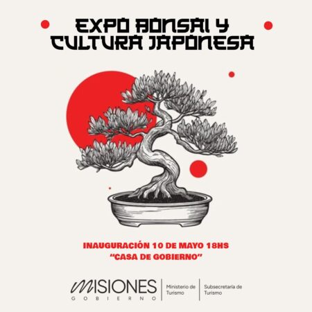 Expo Bonsái y Cultura Japonesa en la Casa de Gobierno imagen-5