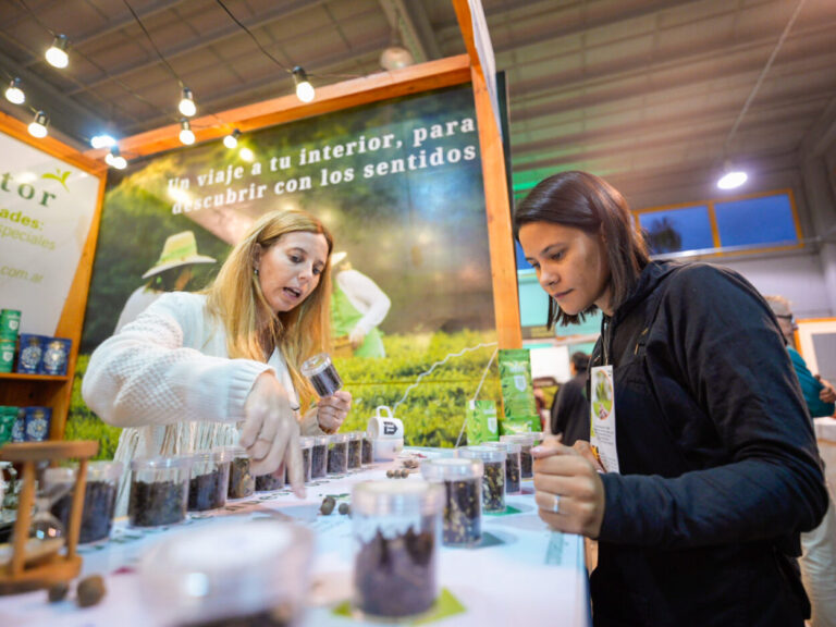 Expo Té, una sinergia entre identidad productiva, turismo y sabores misioneros imagen-5