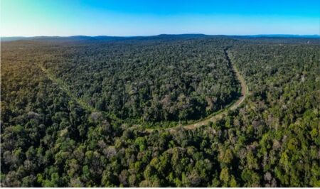 Gobernador: Misiones, el primer Estado que emitirá un bono de carbono en el mundo imagen-5