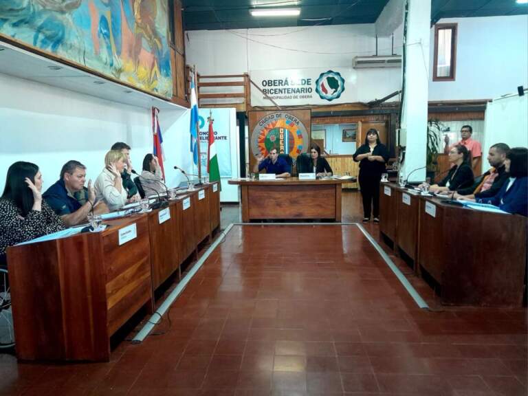 El Concejo de Oberá examinó y avaló la Rendición de Cuentas 2024 de la gestión municipal imagen-49