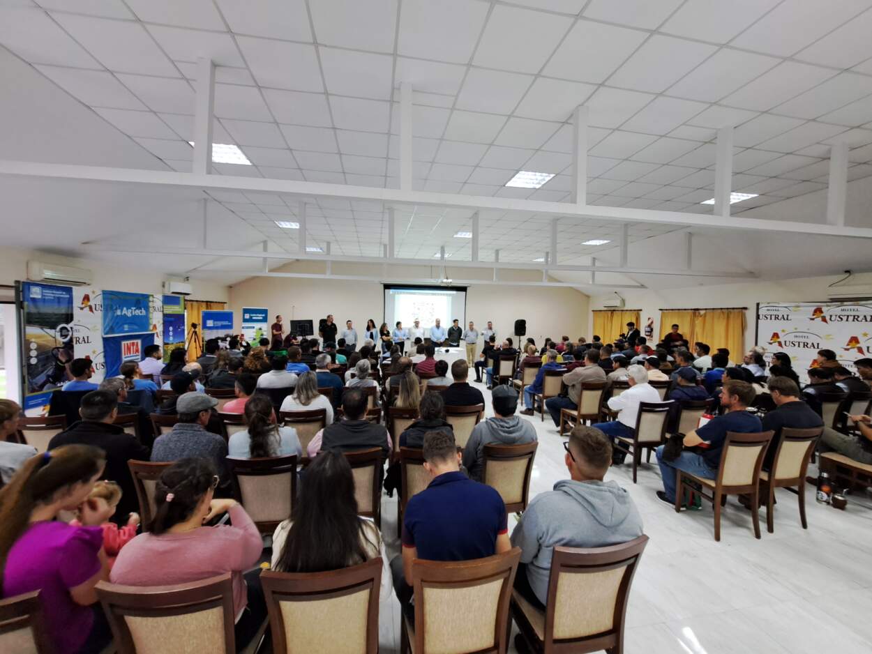 Crece el interés de productores misioneros por el cultivo de frutas tropicales imagen-2