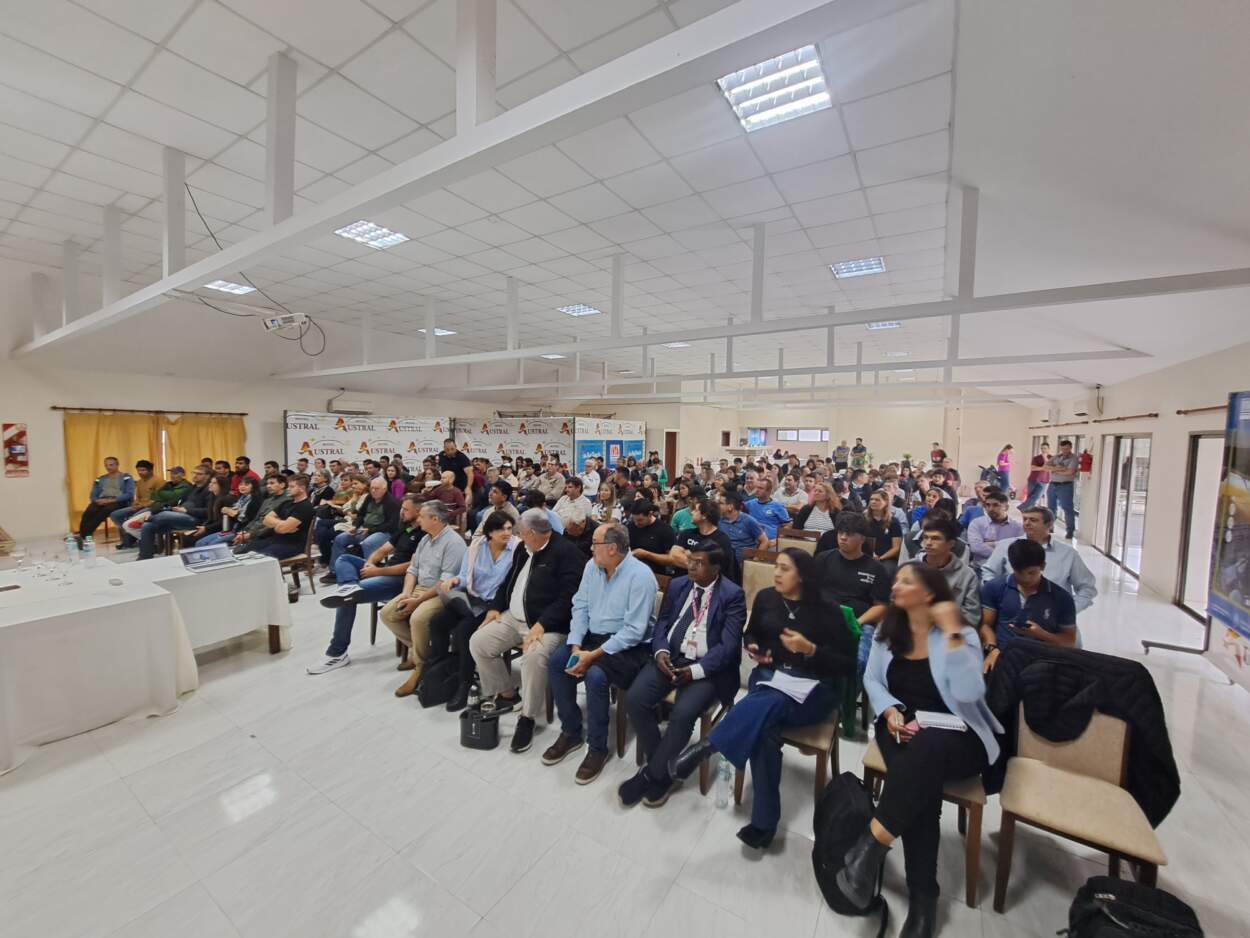 Crece el interés de productores misioneros por el cultivo de frutas tropicales imagen-6