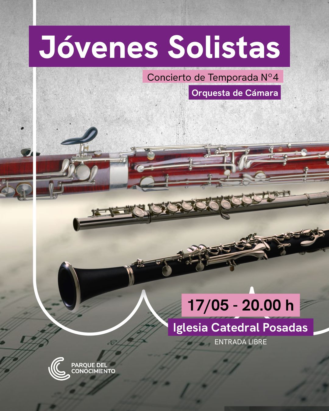 “Jóvenes solistas”: el talento musical del Parque en la Catedral de Posadas imagen-2