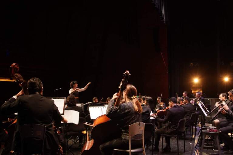 Alicia Pouzo dirige a la Orquesta de Cámara en una noche de Sinfonía Monumental imagen-33